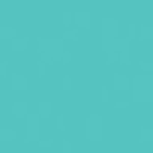 Meet your Posher, Adele